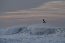 Cargar imagen en el visor de la galería, ION Surfboard Pads ION Maiden 3pcs (OL) 2020