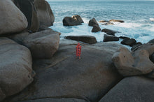 Carica l'immagine nel visualizzatore di Gallery, action_shot