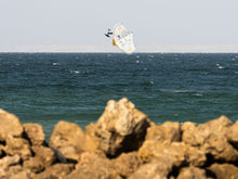 Load image into Gallery viewer, action_shot