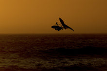 Load image into Gallery viewer, ION Men Wetsuit Element 4/3 Front Zip 2023