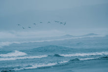 Load image into Gallery viewer, ION Men Wetsuit Seek Amp 6/5 Back Zip 2024