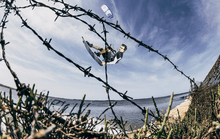 Load image into Gallery viewer, Duotone Vegas 2024