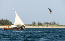 Load image into Gallery viewer, Duotone Evo 2023