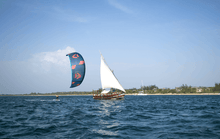 Load image into Gallery viewer, Duotone Evo 2023