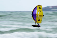 Load image into Gallery viewer, action_shot