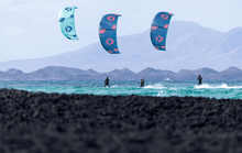 Load image into Gallery viewer, Duotone Neo 2023