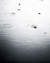 Load image into Gallery viewer, ION Men Wetsuit Seek Select 5/4 Backzip 2024