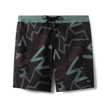 Load image into Gallery viewer, Duotone Apparel Boardshorts DT 19inch men 2024
