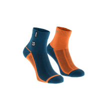 Load image into Gallery viewer, ION Socks Paze 2021
