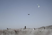 Carica l'immagine nel visualizzatore di Gallery, action_shot