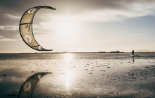 Carica l'immagine nel visualizzatore di Gallery, Duotone Gonzales 2022