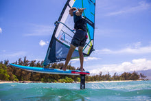 Lade das Bild in den Galerie-Viewer, Fanatic Stingray Foil LTD 2020
