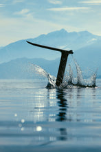 Carica l'immagine nel visualizzatore di Gallery, action_shot