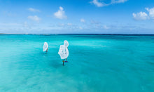Lade das Bild in den Galerie-Viewer, Duotone Slick Concept Blue 2024