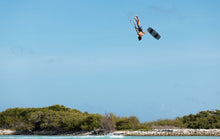 Load image into Gallery viewer, action_shot