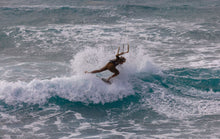 Carica l'immagine nel visualizzatore di Gallery, action_shot